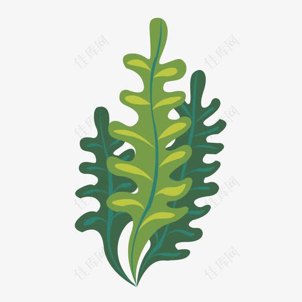 海藻植物矢量素材