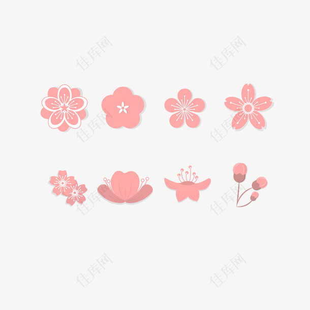 矢量粉色淡雅腊梅花朵