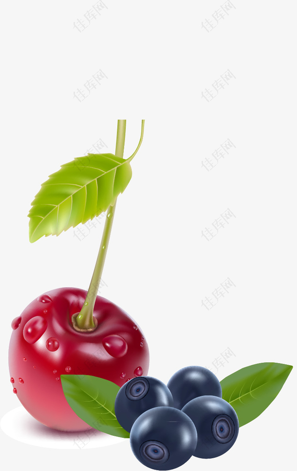樱桃蓝莓水果PNG矢量素材