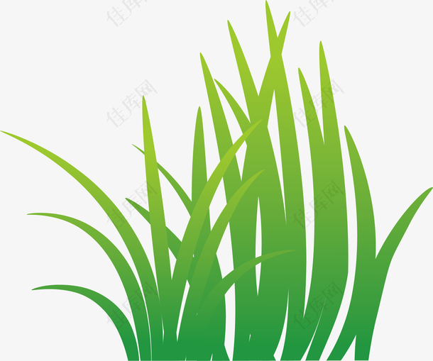 植物绿色生长小草