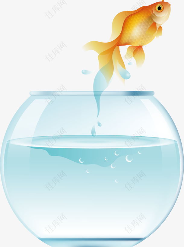 鱼从水缸中跳出水花