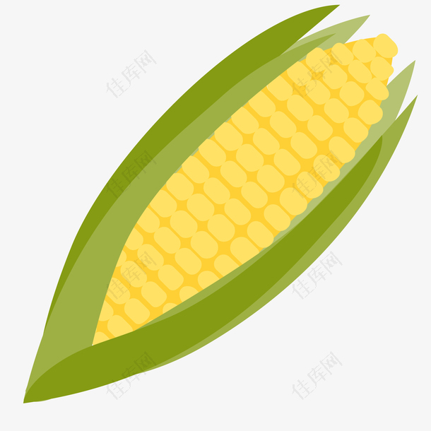 卡通玉米植物设计