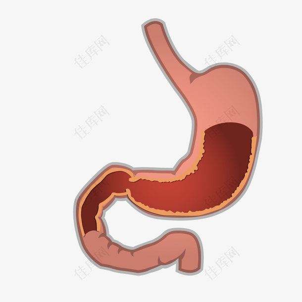 灰色圆弧肠胃元素