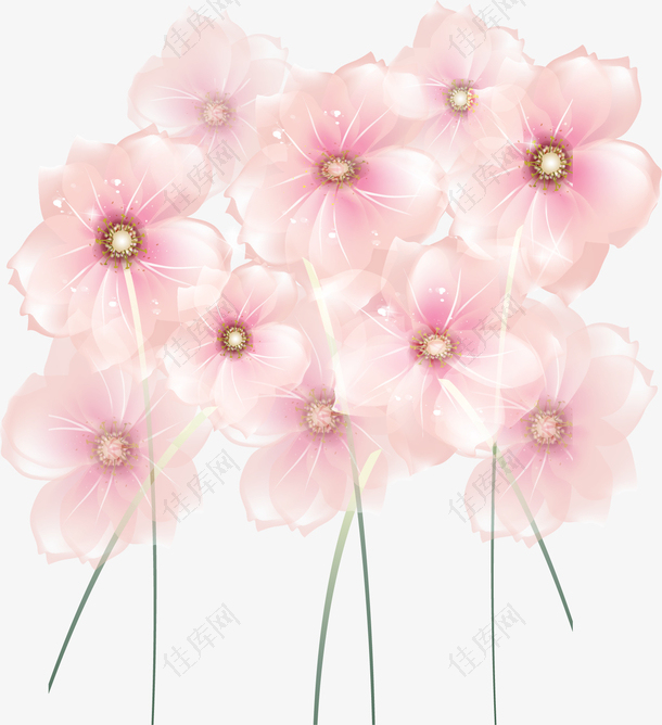 卡通粉色花卉