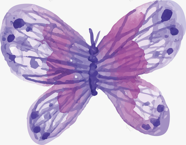 水彩紫色蝴蝶