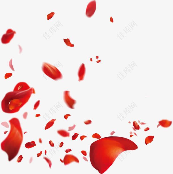 不规则大小红色玫瑰花漂浮花瓣