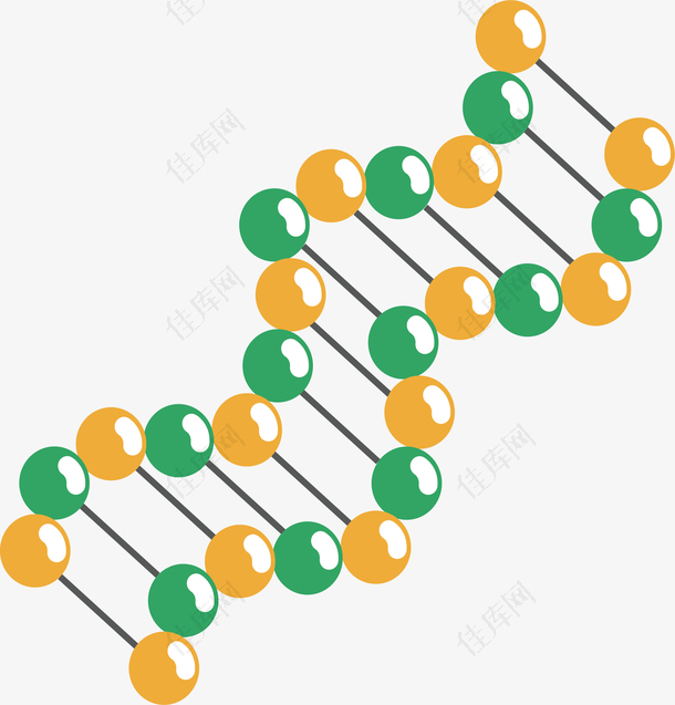 双螺旋分子结构