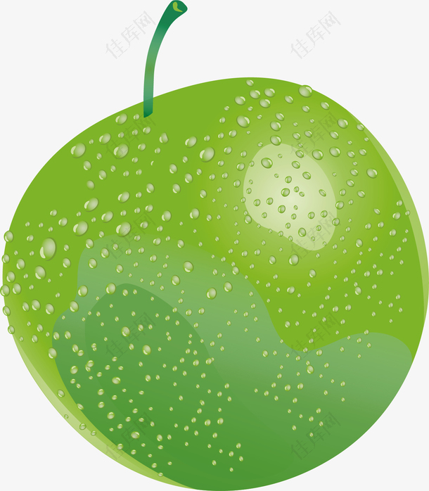 矢量图绿色的青苹果