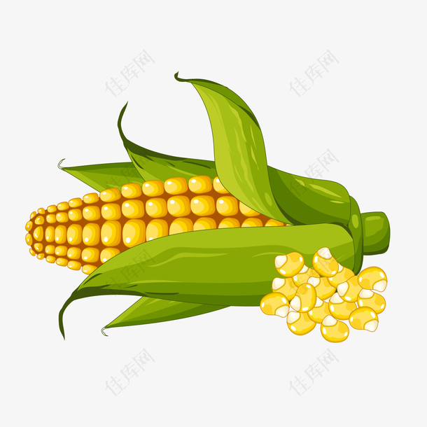 黄色创意玉米食物元素