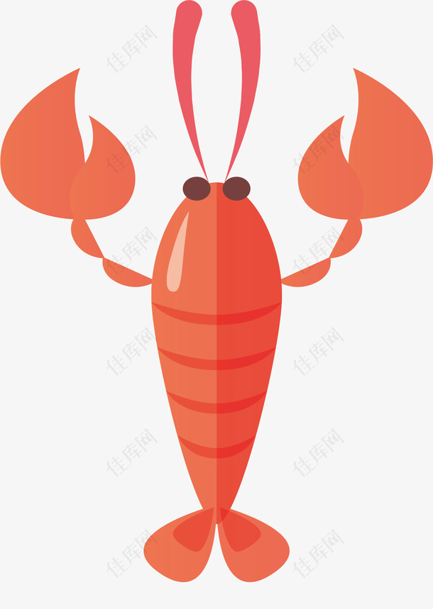 矢量图水彩红色小龙虾