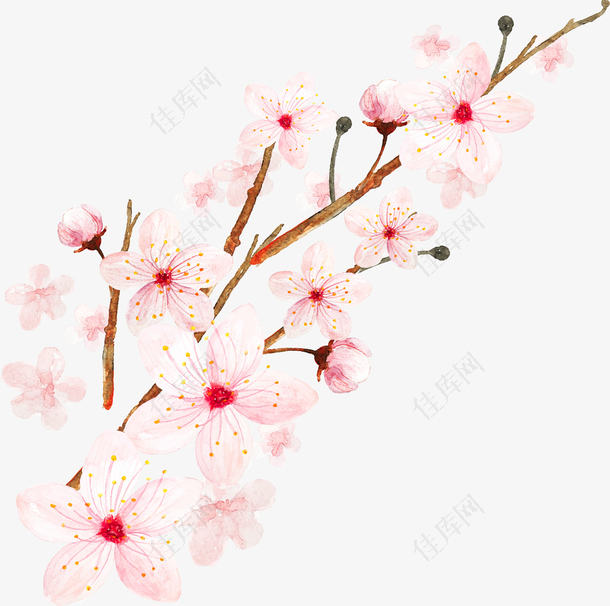 卡通手绘樱花花瓣装饰