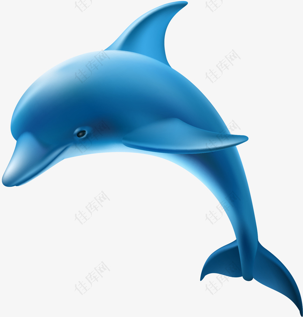 矢量手绘海豚