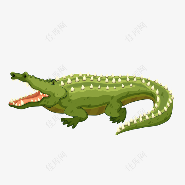 绿色长大嘴巴的鳄鱼