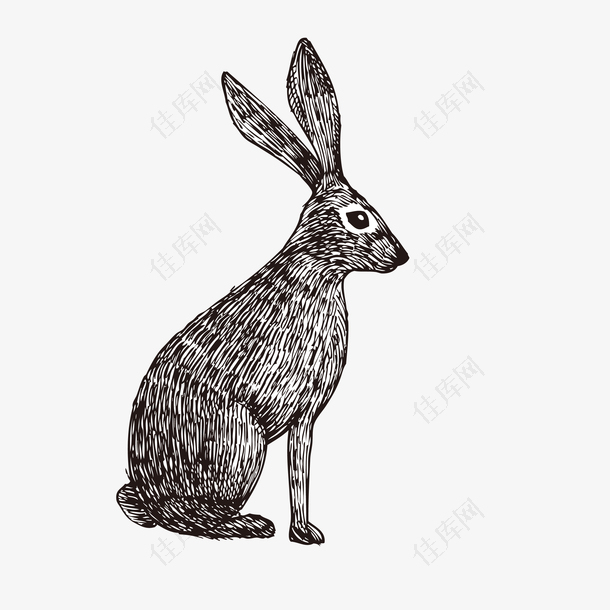 铅笔画兔子矢量素材