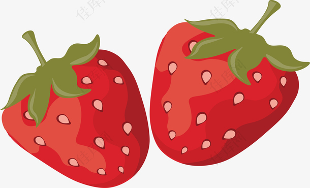 新鲜红色草莓