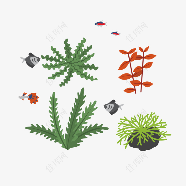 矢量卡通彩色热带鱼珊瑚藻
