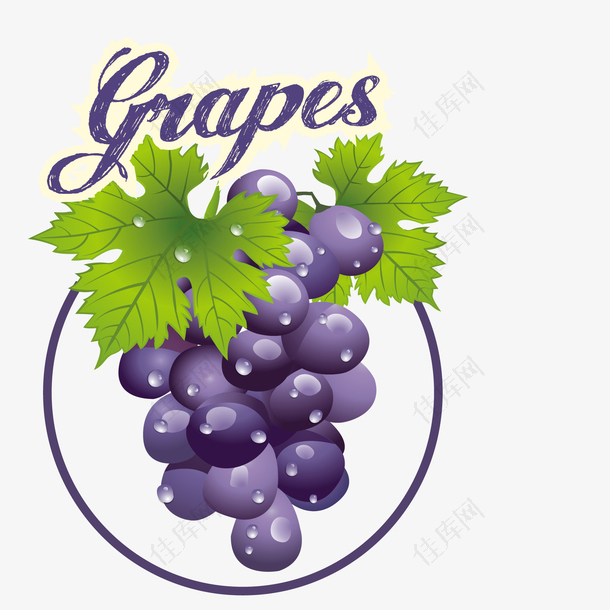 卡通葡萄水果标签设计