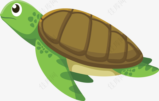 圆润彩色风格矢量海龟