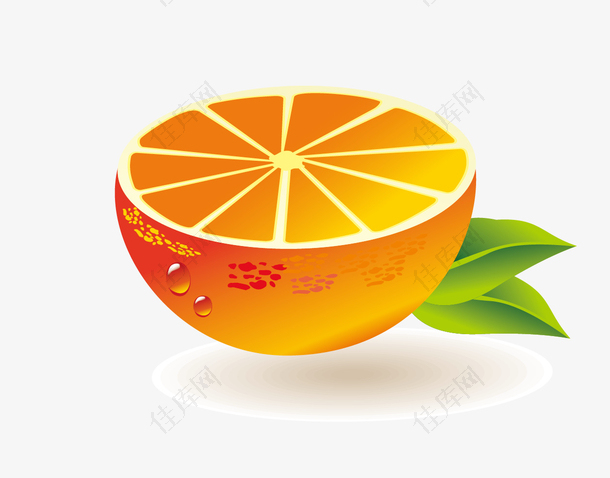 矢量橙子