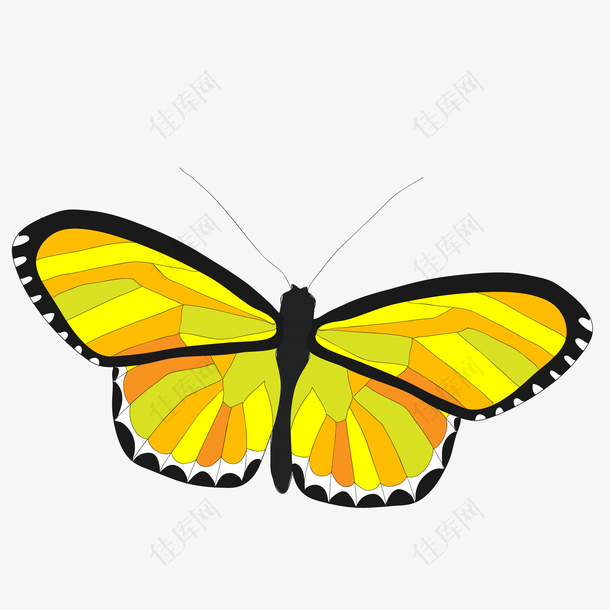 卡通黄色的手绘蝴蝶昆虫设计