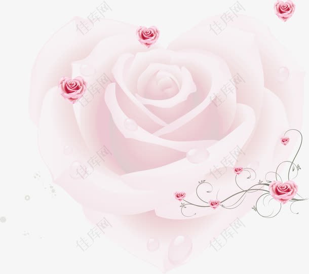 粉色玫瑰底图