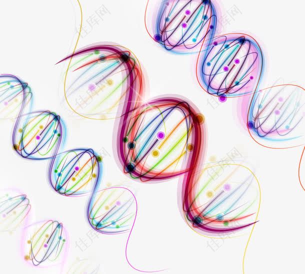 绚丽多彩DNA遗传基因