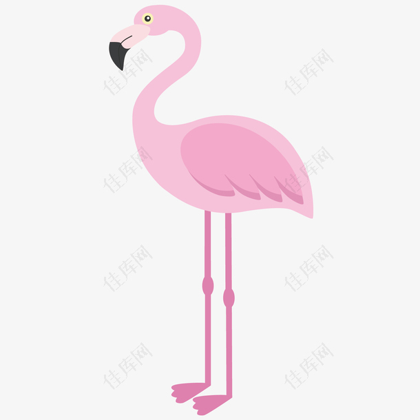 粉红色火烈鸟矢量绘画