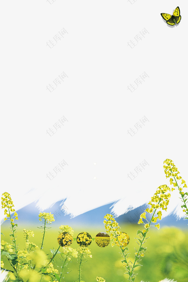 春季油菜花装饰边框创意