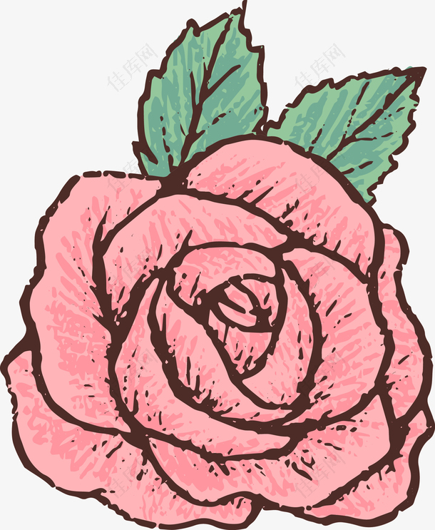 浪漫红色玫瑰花