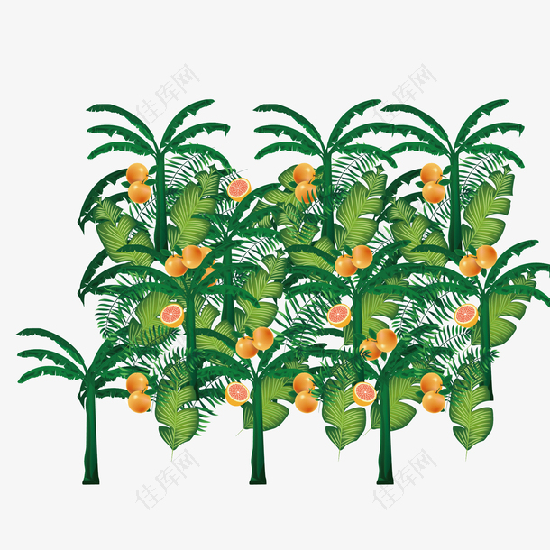 嫩绿的热带植物边框
