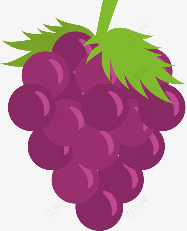 葡萄水果卡通图案