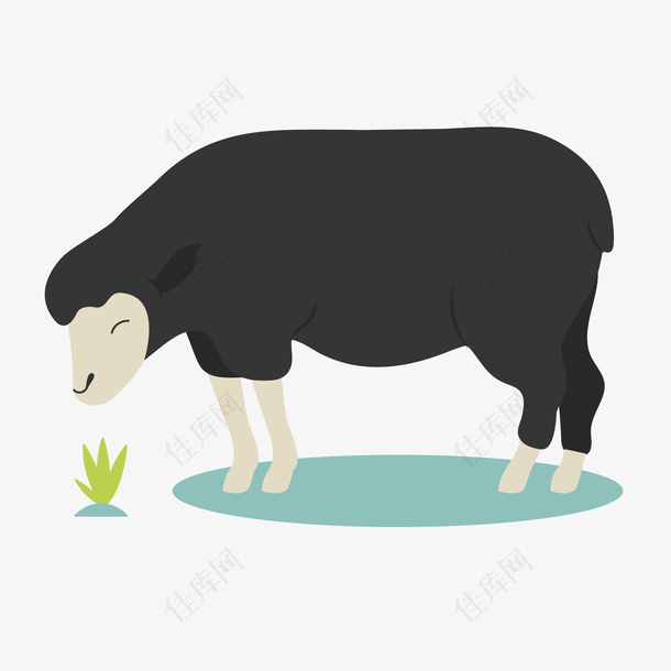 卡通吃草的羊动物设计