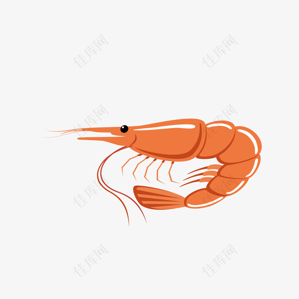 矢量卡通手绘美味鲜虾免抠图PNG