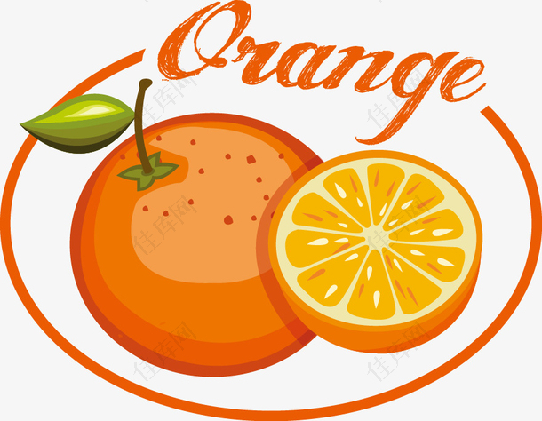 水果标签矢量素材橙子
