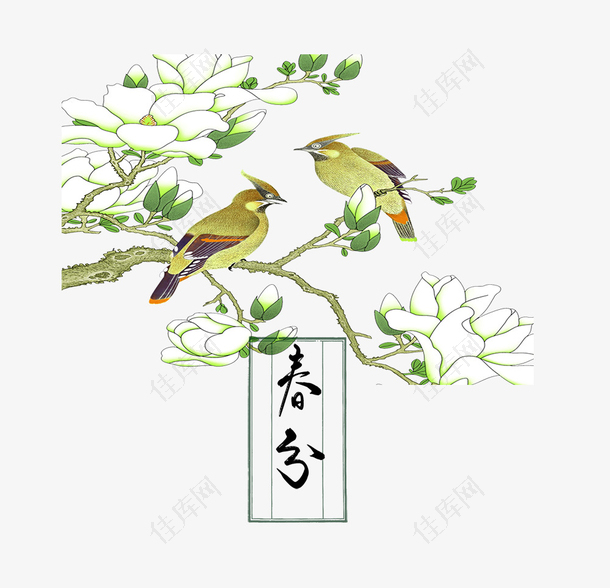 二十四节气之春分花枝与鸟主题