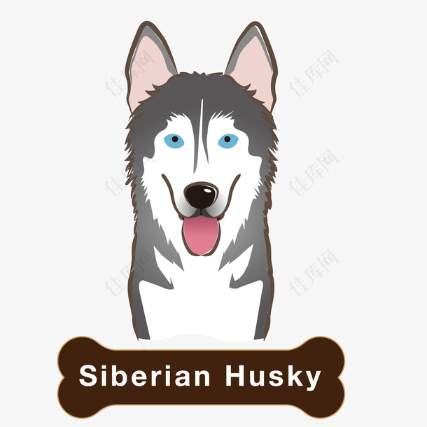 西伯利亚雪橇犬动物设计