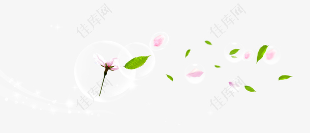 漂浮花瓣叶子气泡