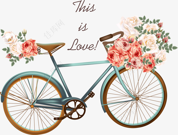 矢量手绘载着鲜花的自行车