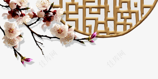 中国风梅花装饰手绘