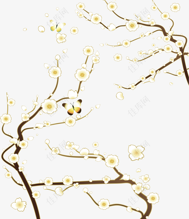 黄色红梅树枝