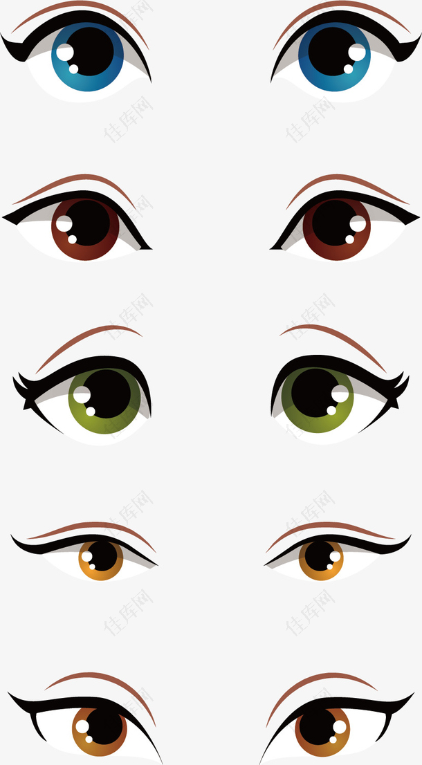 矢量图各种类型的眼睛