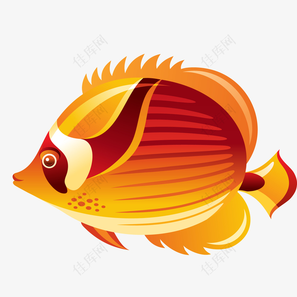 橙色的热带鱼动物设计