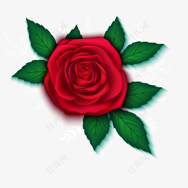 红色的玫瑰花植物设计