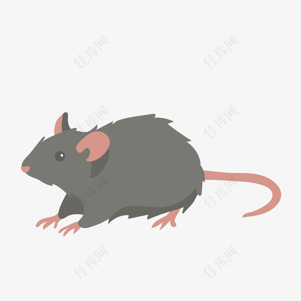 卡通设计动物老鼠图案
