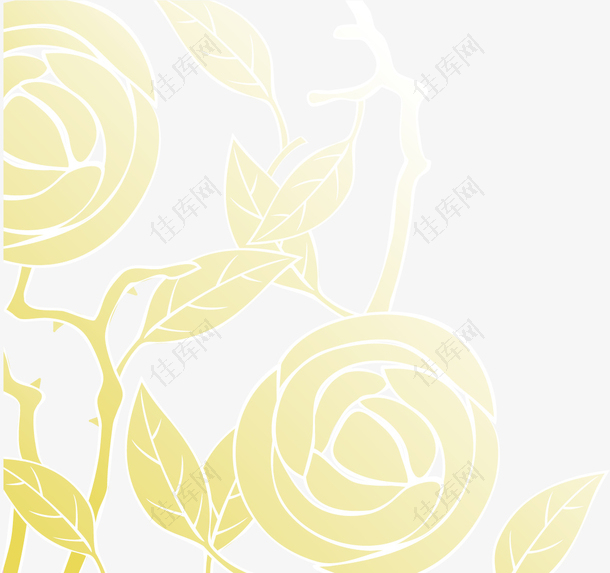 黄色玫瑰背景
