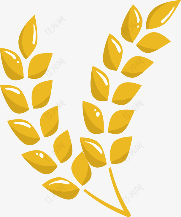 矢量图丰收的麦穗