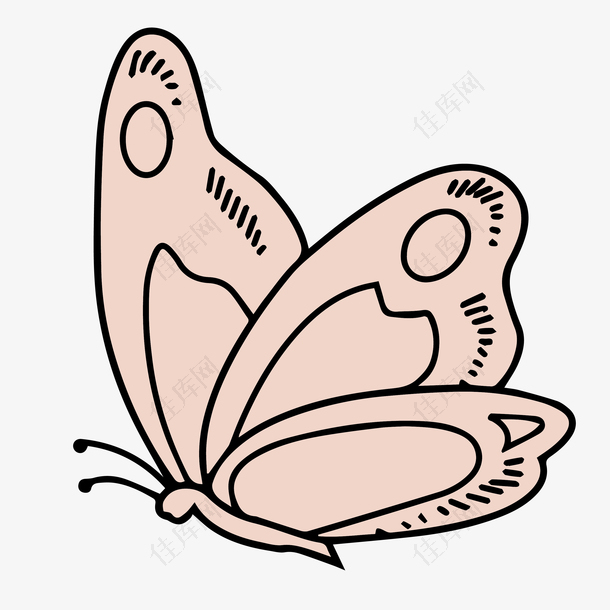 卡通蝴蝶设计素材