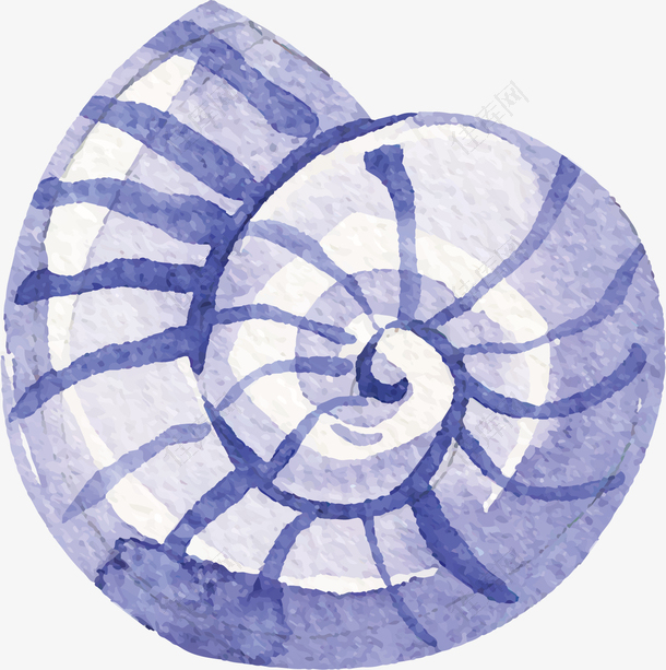 蓝紫色手绘海螺