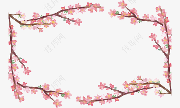粉红樱花树春天边框