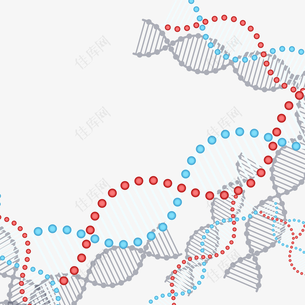 矢量DNA链接组